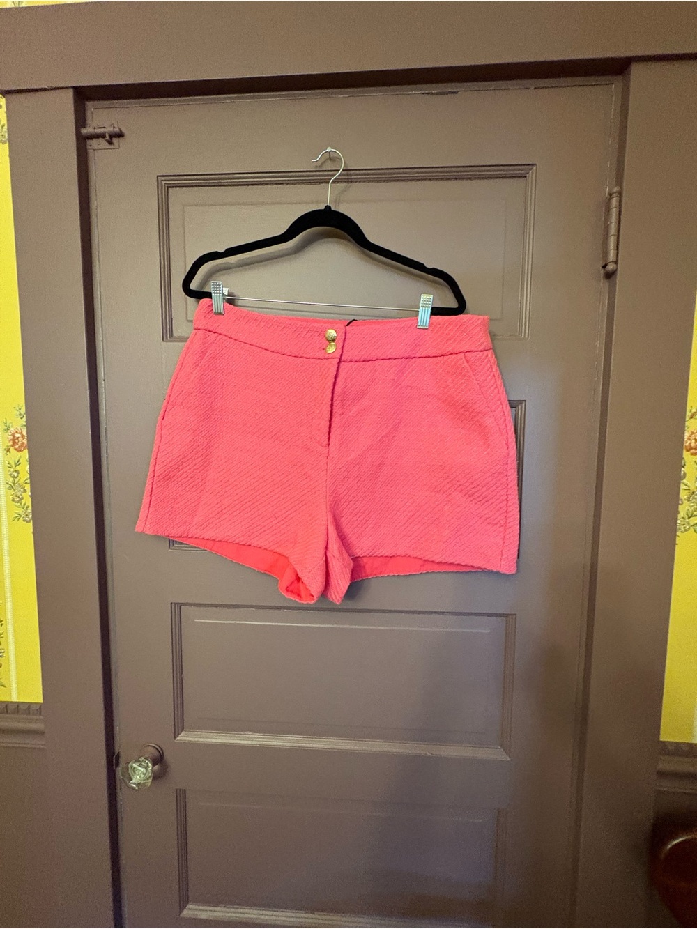 River Island Women's Pink size 14 Shorts NWT from Nordstrom